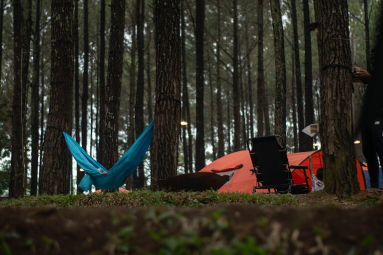 Five Features to Look for in a Quality Camping Chair